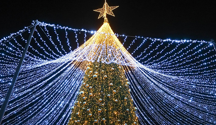 Fondo