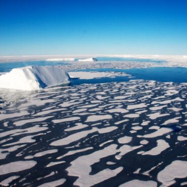 Capa de hielo marino alcanzó mínimo histórico en febrero