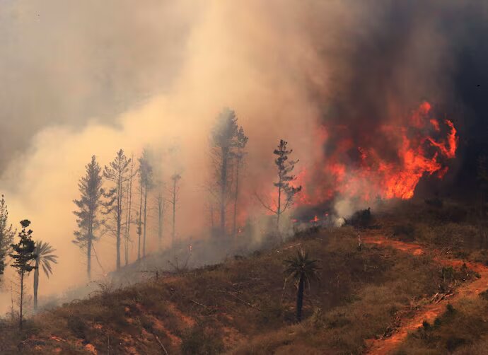 Alerta roja por incendios forestales en el sur de Chile