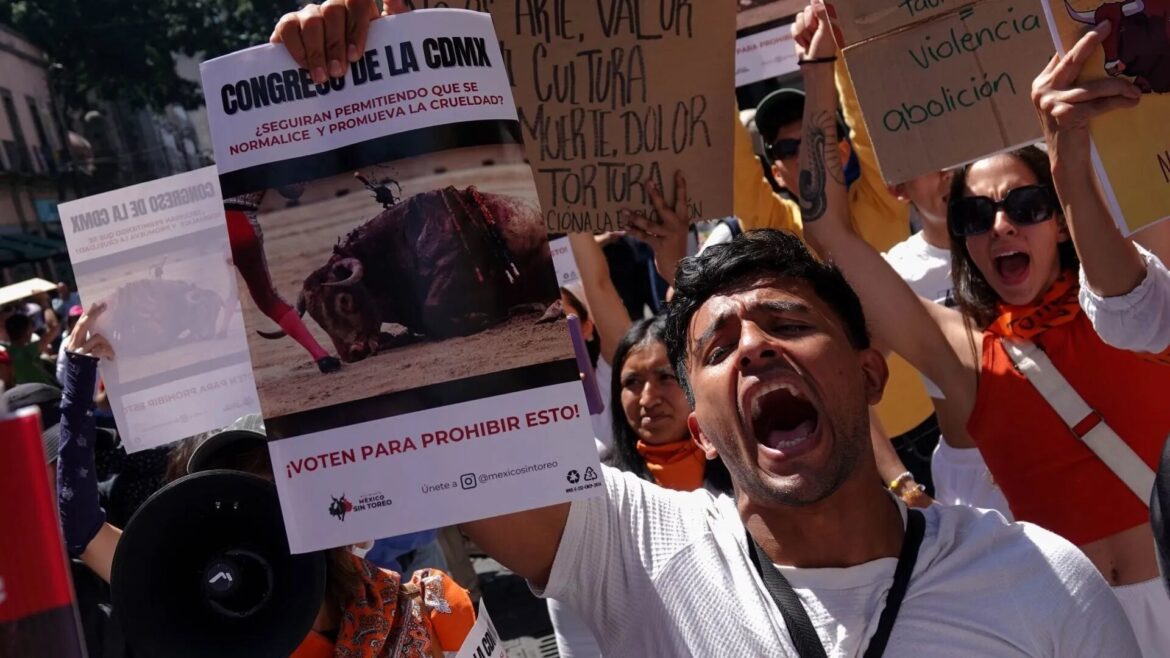 Protestas y Tensión en el Congreso de la Ciudad de México por la Iniciativa para Prohibir las Corridas de Toros