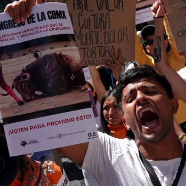 Protestas y Tensión en el Congreso de la Ciudad de México por la Iniciativa para Prohibir las Corridas de Toros